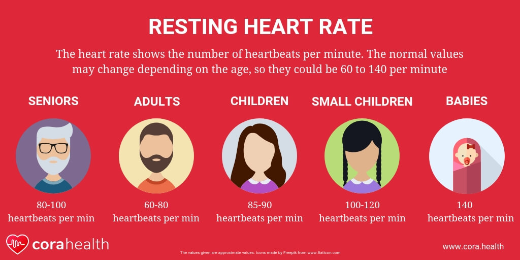 normal heartbeat per minute by age